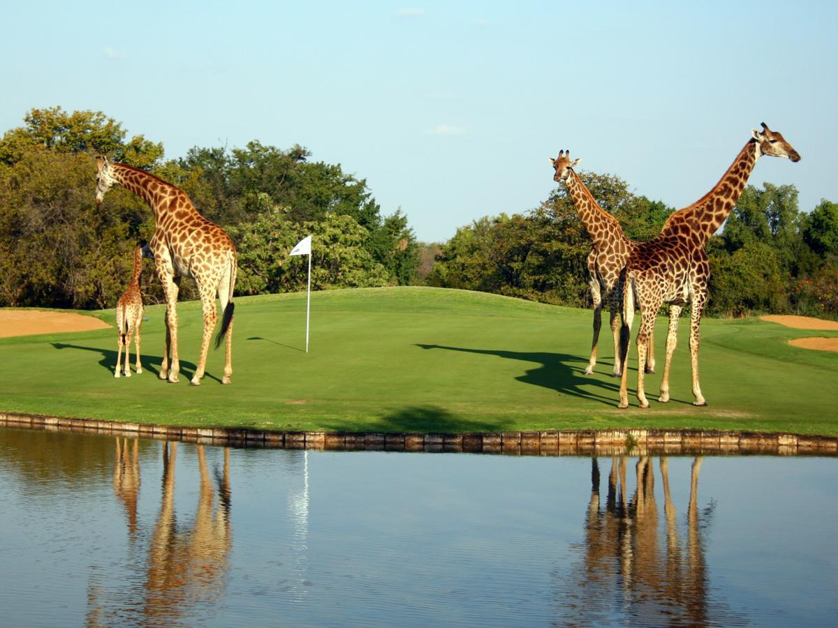Hans Merensky Hotel And Spa Phalaborwa Bagian luar foto